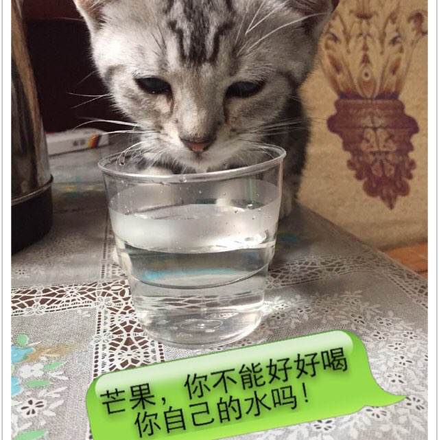 信州大学本科成绩单